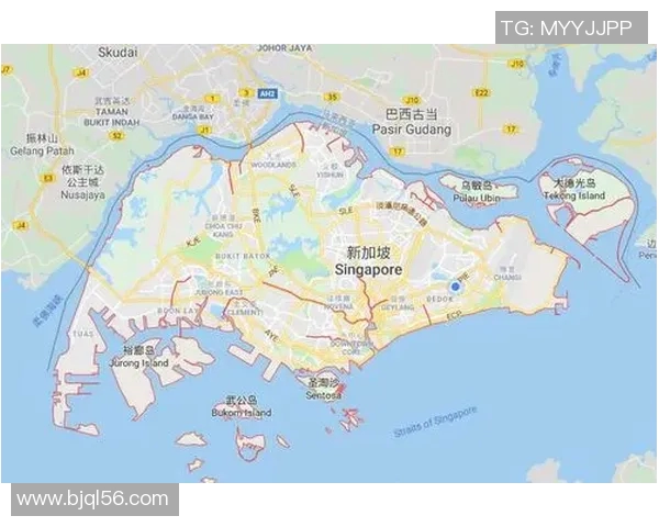 新加坡与印尼足球对决前瞻及比分预测分析